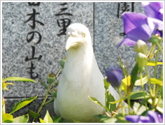 平和の象徴「ハト」の像